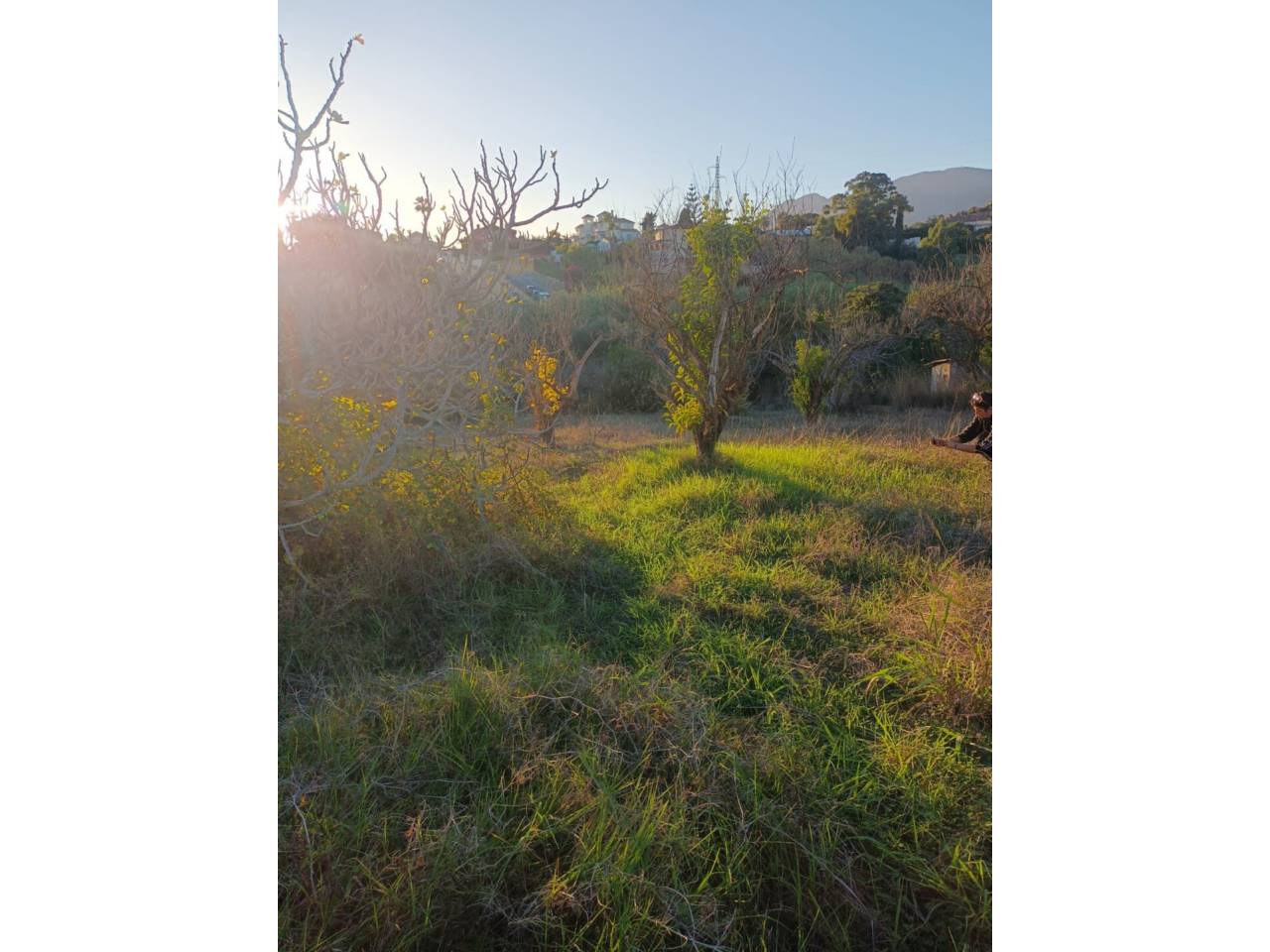 Finca rústica en venta en Estepona en Zona: Selwo