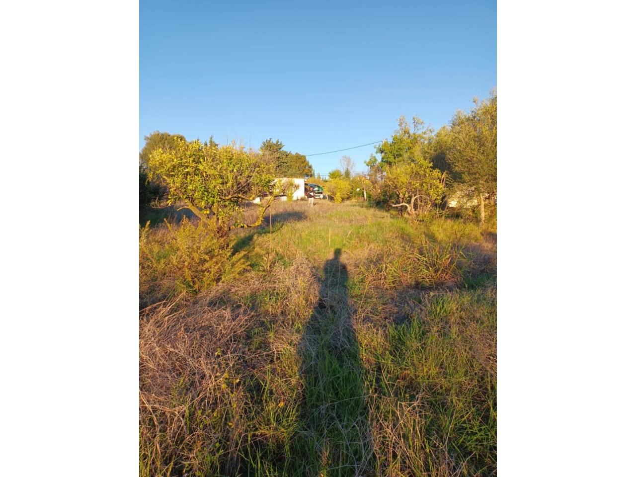 Finca rústica en venta en Estepona en Zona: Selwo