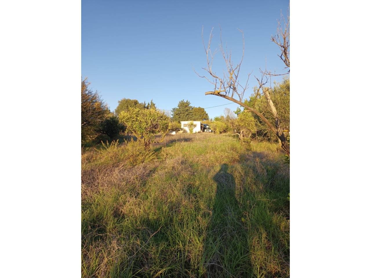 Finca rústica en venta en Estepona en Zona: Selwo