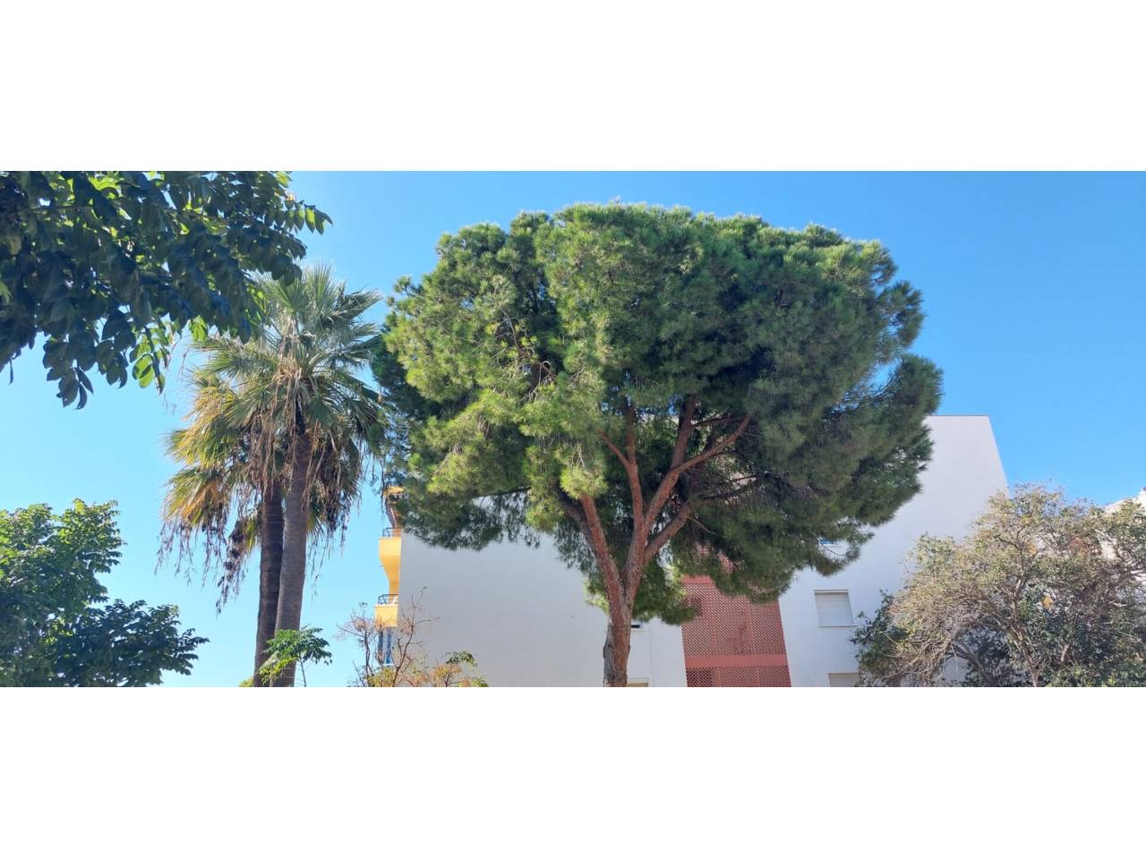 Casa en venta en Estepona en Zona: Casco Antiguo