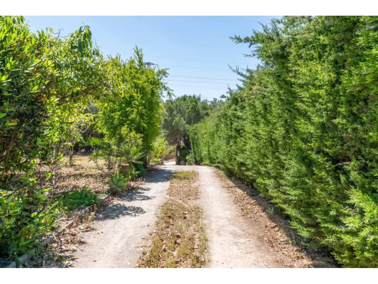 Casa rústica en venta en Estepona en Zona: Selwo