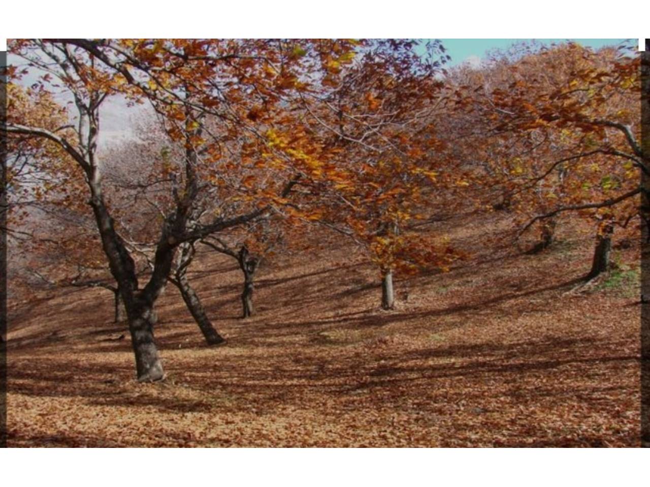 Finca rústica en venta en Pujerra en Camino: barranco hondo 