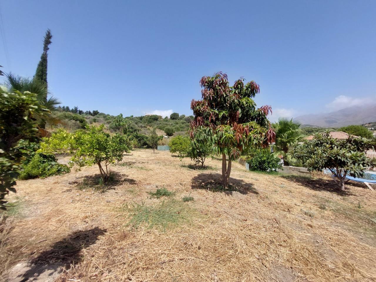 Chalet unifamiliar en venta en Estepona en Zona: Costa Natura