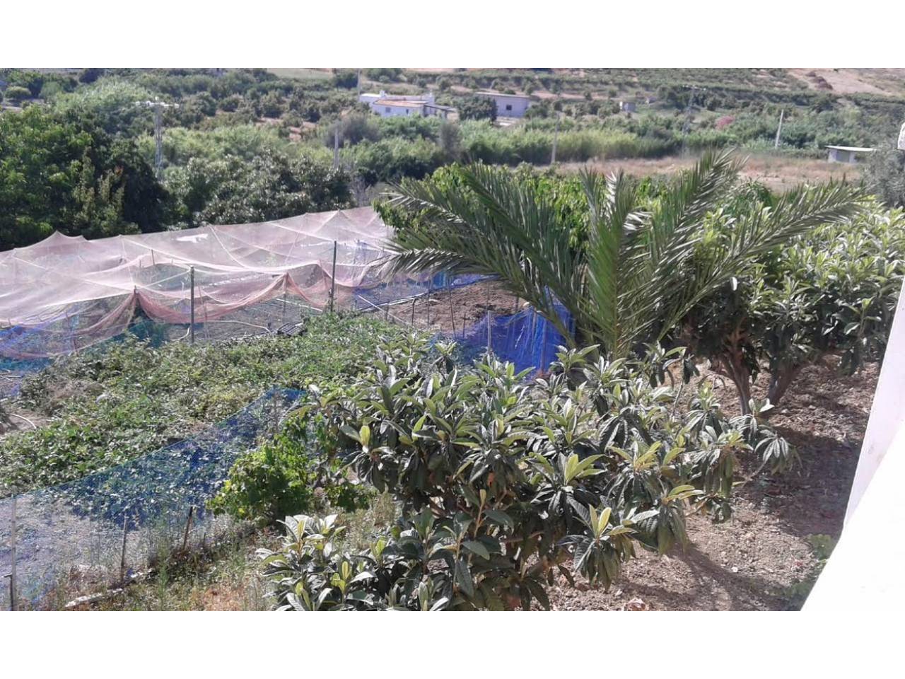 Terreno en venta en Estepona en Zona: Altos de Estepona