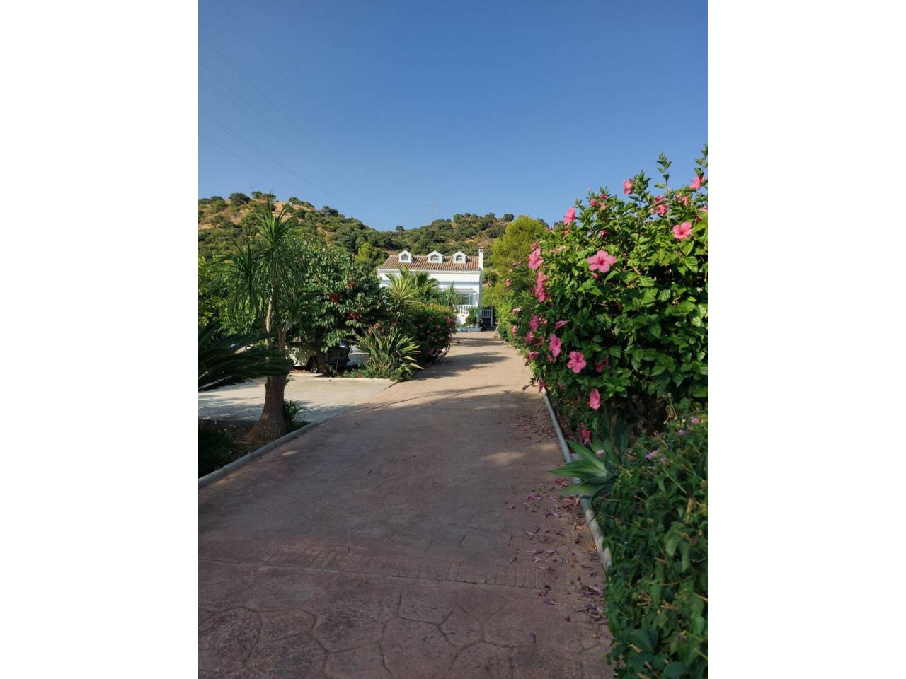 Chalet unifamiliar en venta en Estepona en Zona: Guadalmansa