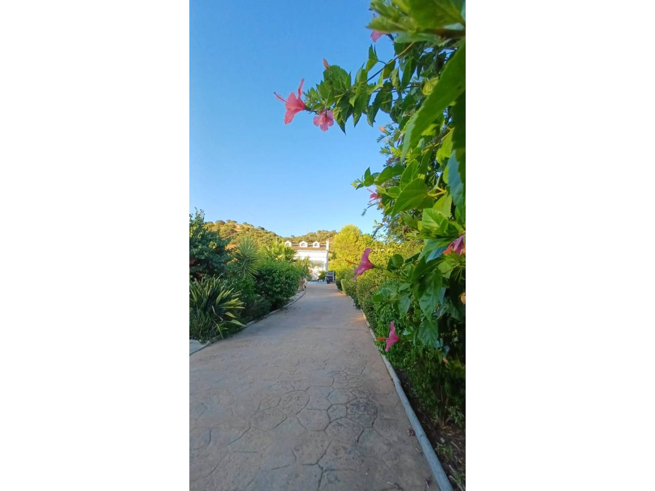 Chalet unifamiliar en venta en Estepona en Zona: Guadalmansa