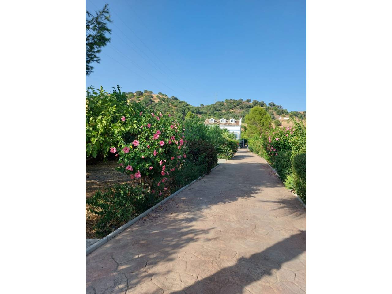 Chalet unifamiliar en venta en Estepona en Zona: Guadalmansa