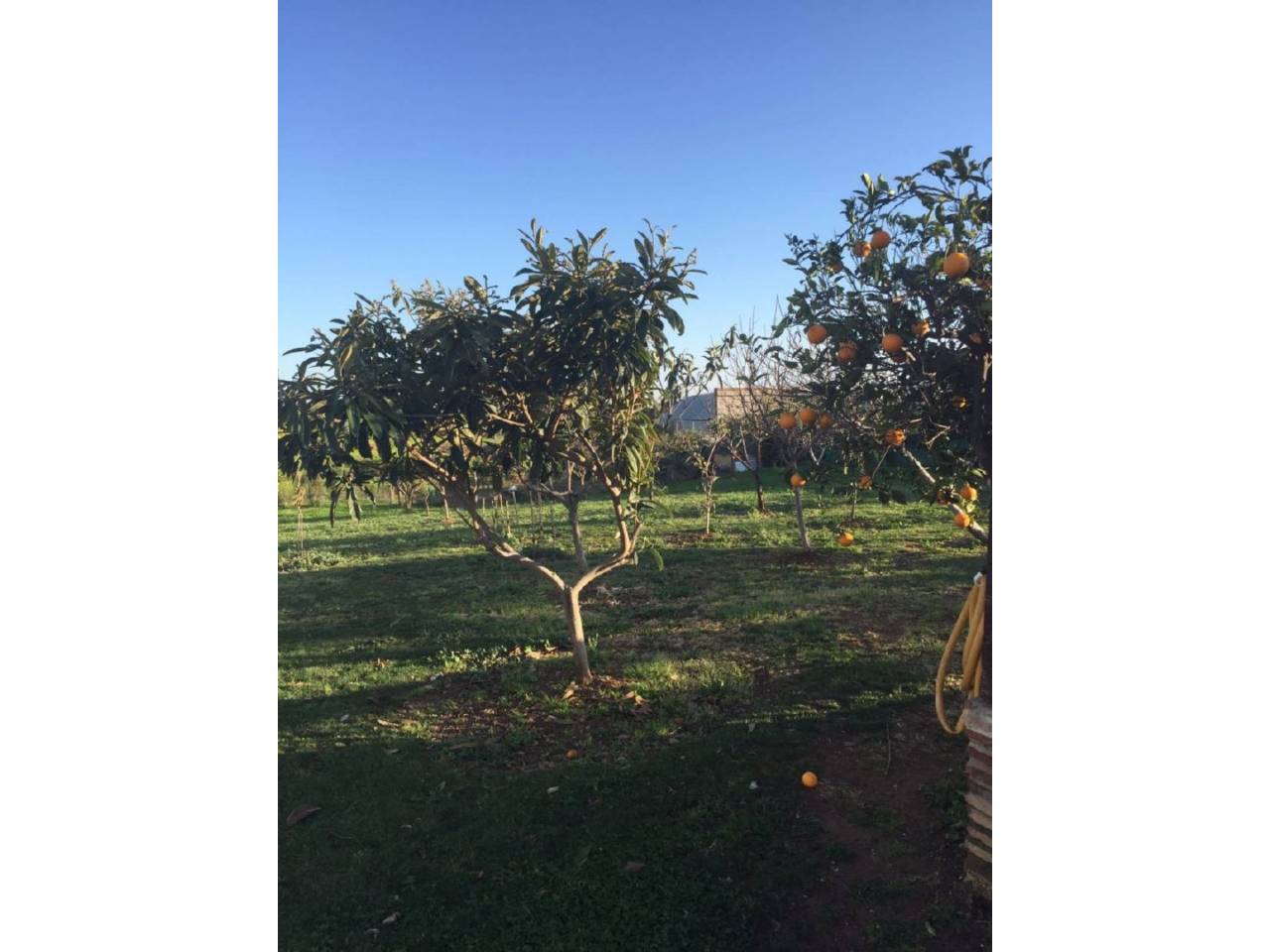 Chalet en venta en Estepona en Zona: Selwo