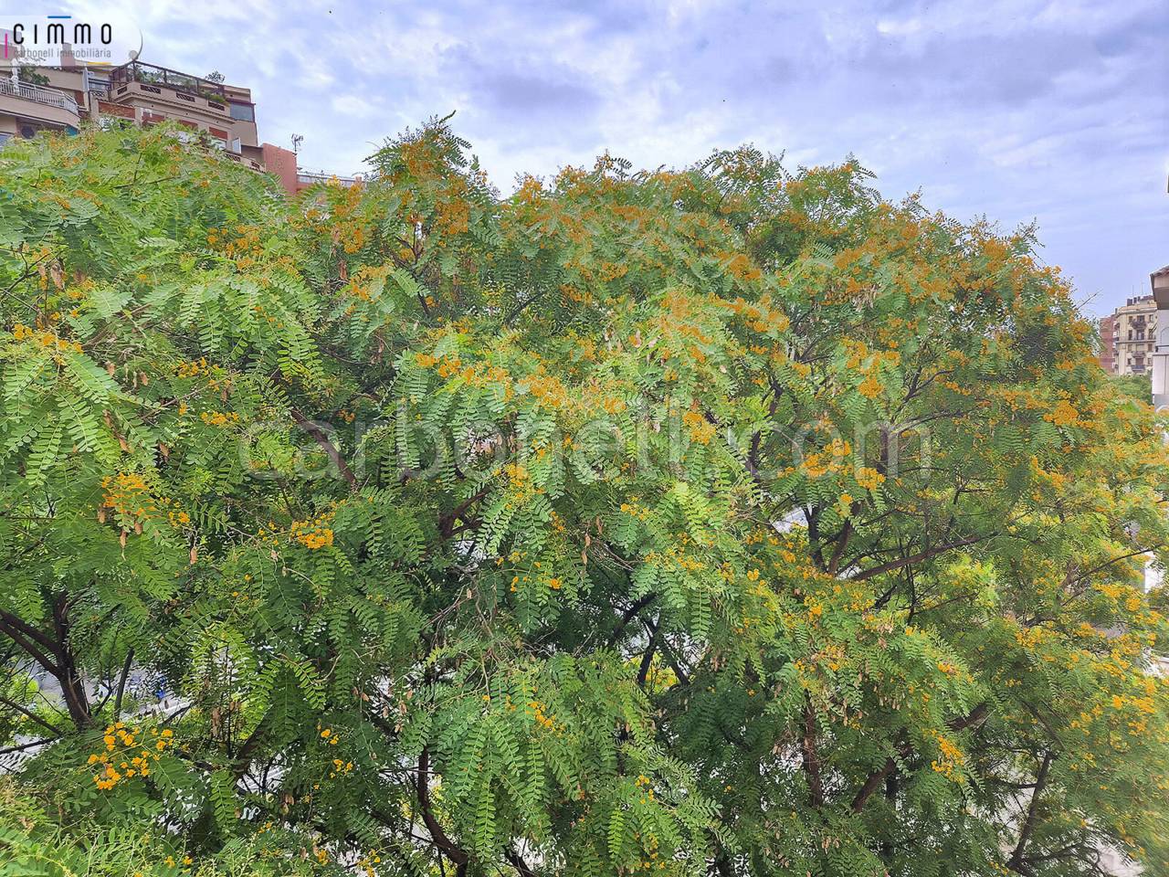 Piso en venta Sants (Barcelona Capital)