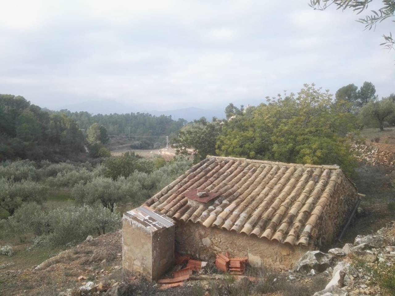Imagen Vivienda