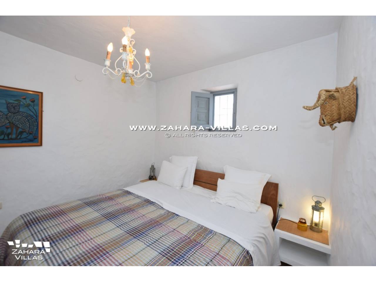 Imagen 45 de Magnificent House with central patio, in the historic center of the town
