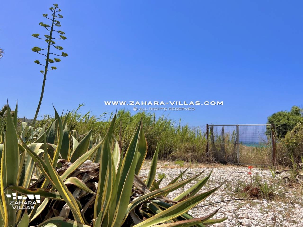 Imagen 10 de Beachfront villa for sale in Cala de los Alemanes, Atlanterra