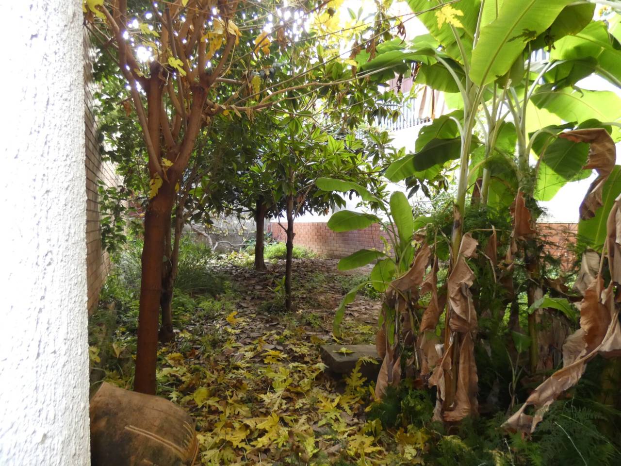 locales-comerciales en cornella-de-llobregat · cornella-centre 325000.00€