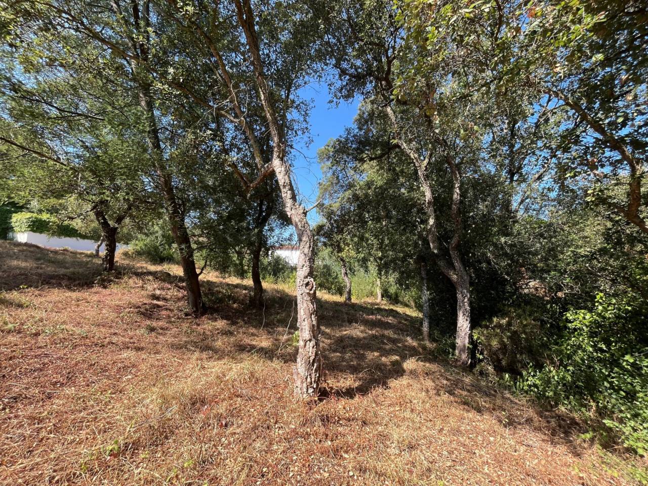 Parcel·la urbana de 818 m² a Can Carbonell – Entorn natural i ubicació excel·lent