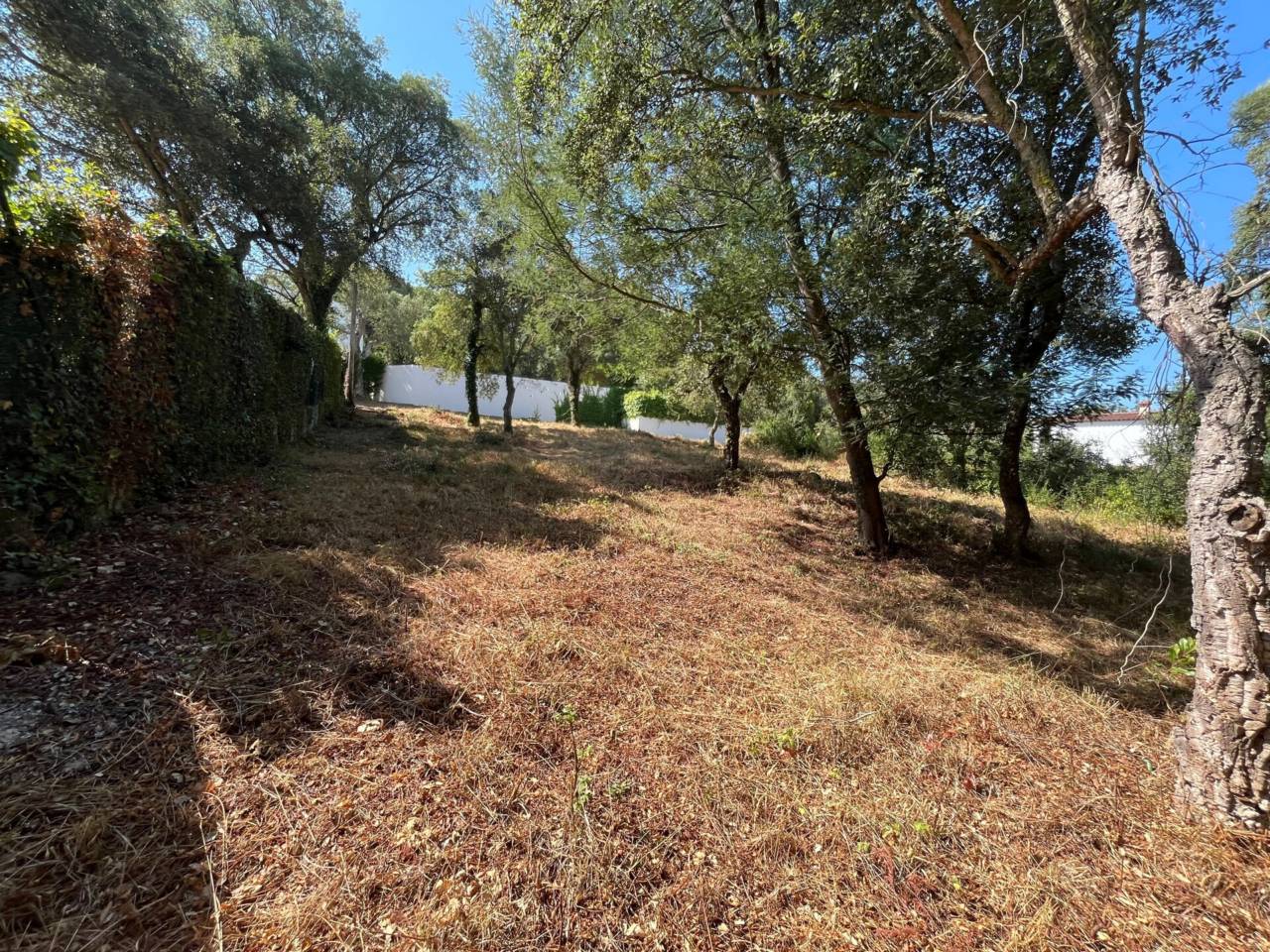 Parcel·la urbana de 818 m² a Can Carbonell – Entorn natural i ubicació excel·lent