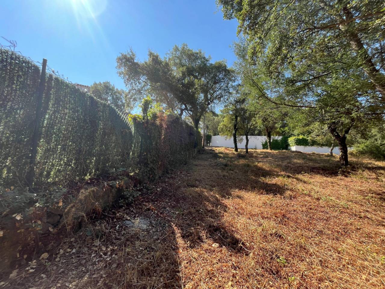 Parcel·la urbana de 818 m² a Can Carbonell – Entorn natural i ubicació excel·lent