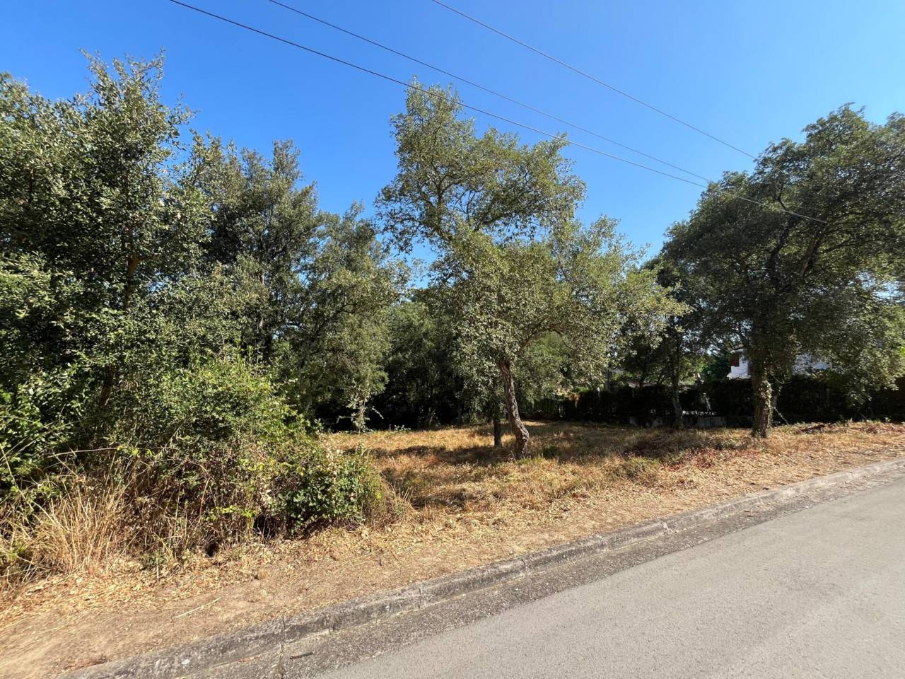 Parcel·la urbana de 818 m² a Can Carbonell – Entorn natural i ubicació excel·lent