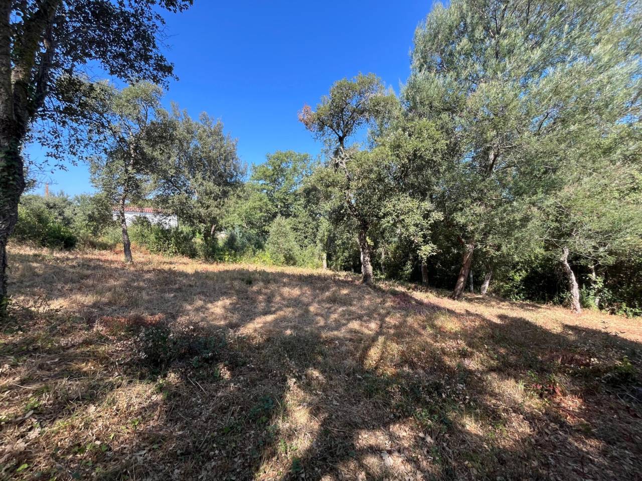 Parcel·la urbana de 818 m² a Can Carbonell – Entorn natural i ubicació excel·lent