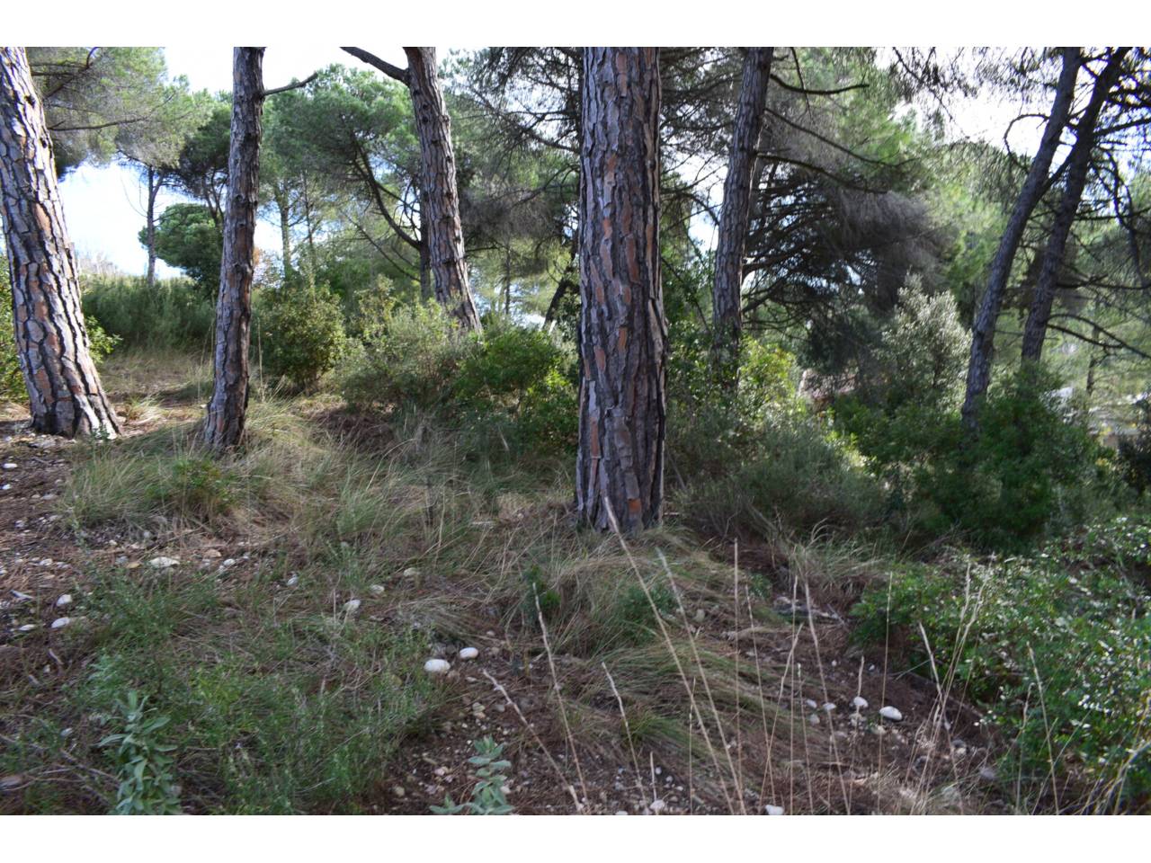 terreno en rubi · sant-muc-castellnou-can-mir 98000.00€