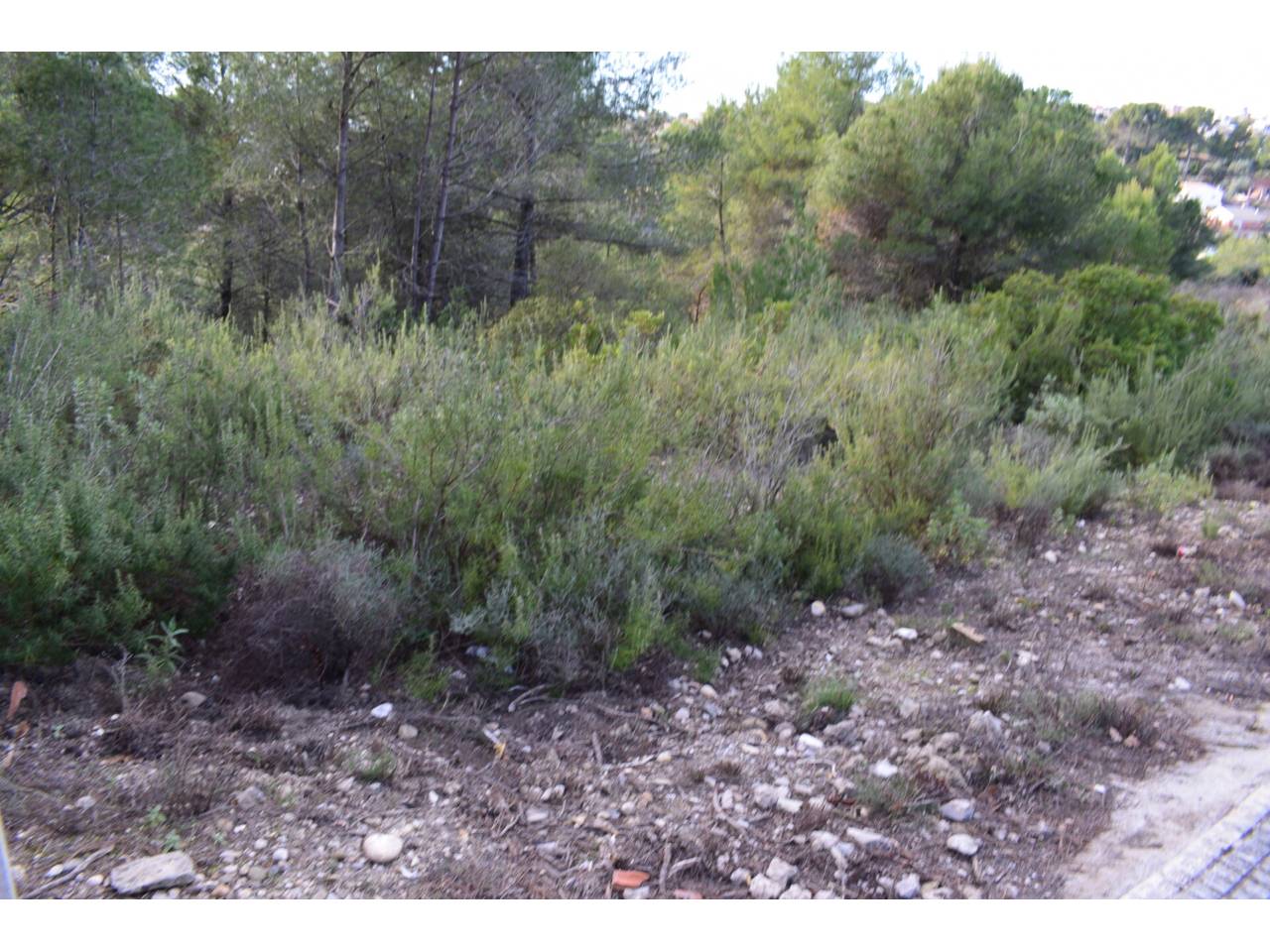 terreno en rubi · sant-muc-castellnou-can-mir 98000.00€