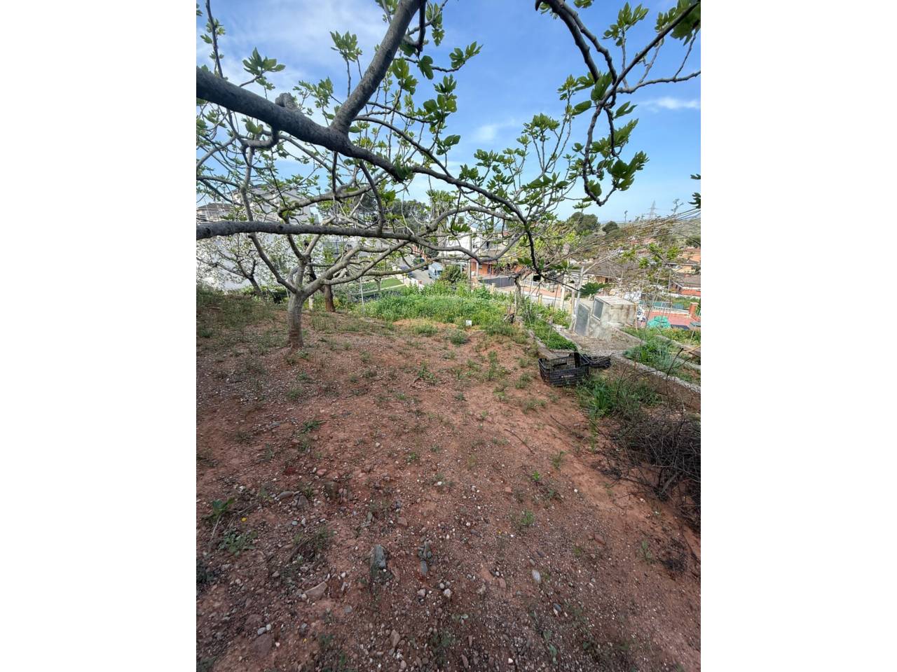 terreno en castellbisbal · castellbisbal 183500.00€