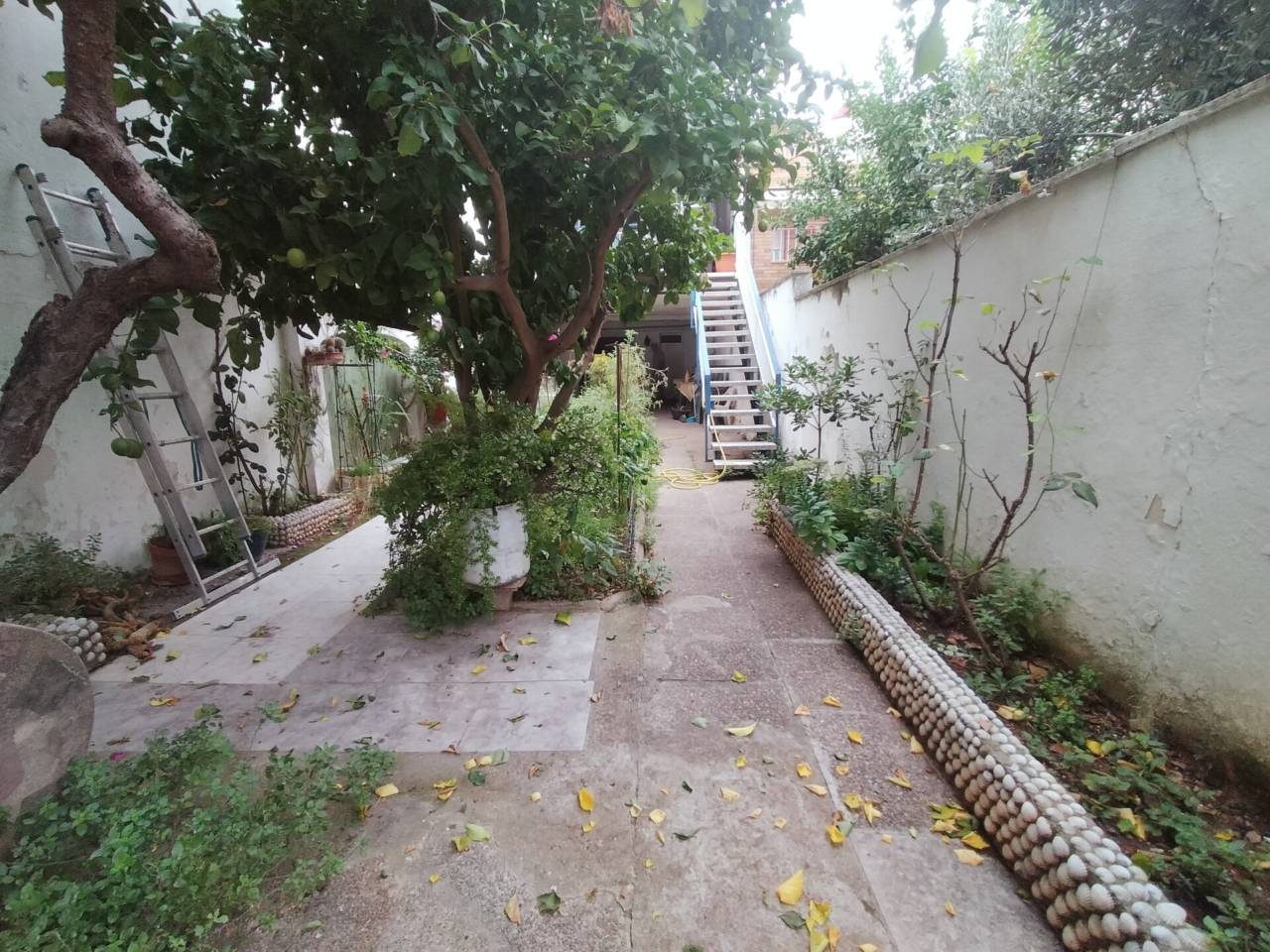 piso en terrassa · can-palet 265000.00€