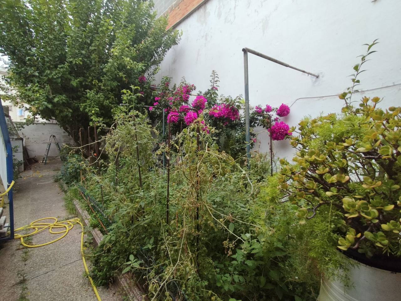 piso en terrassa · can-palet 265000.00€