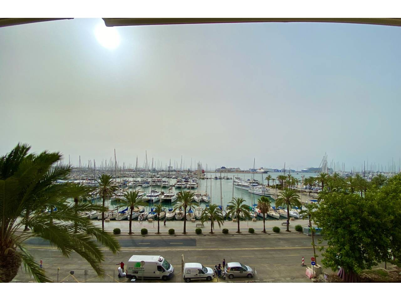 pisos en palma-de-mallorca · el-terreno 4500.00€
