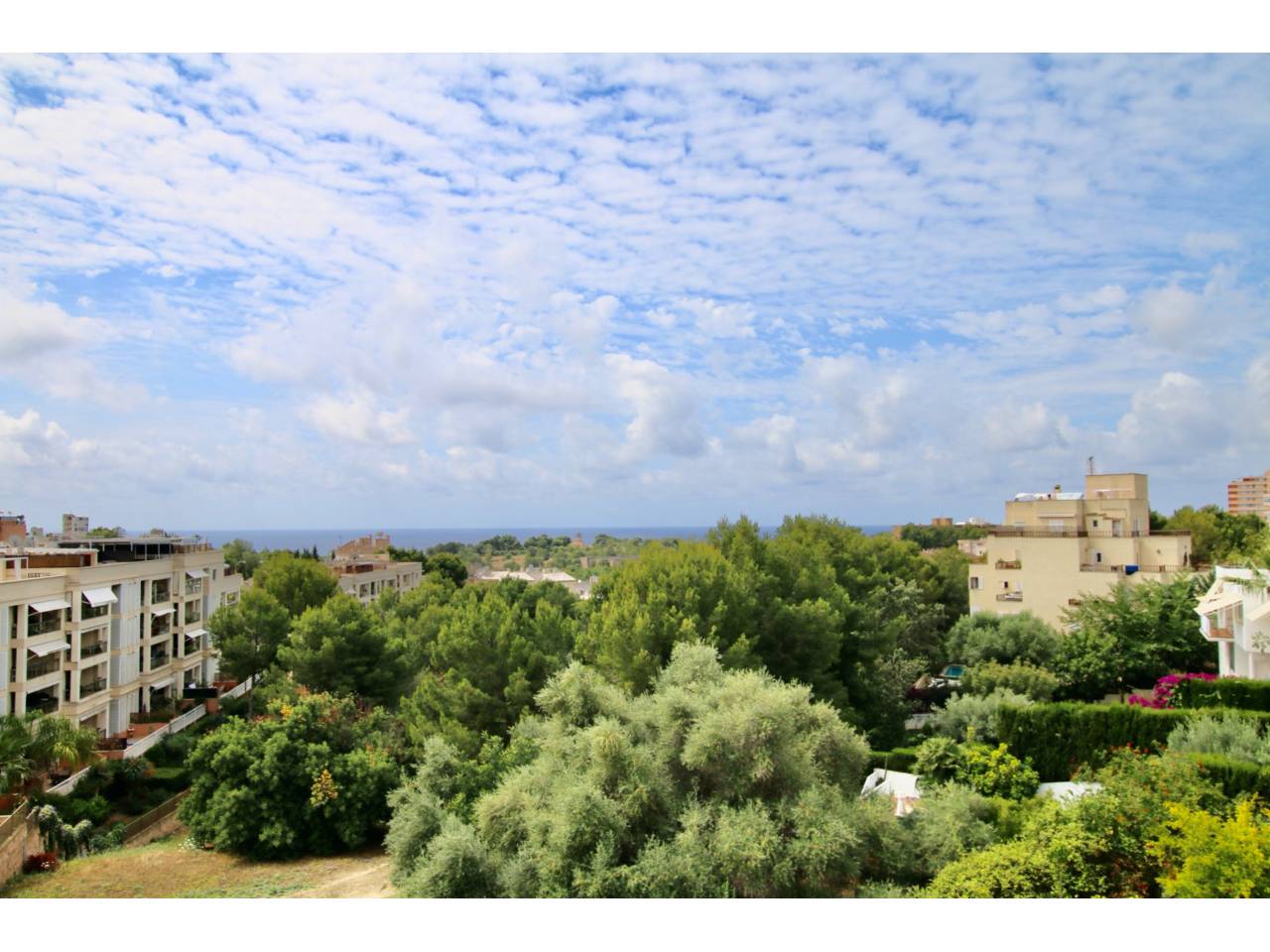 chalet-adosado en palma-de-mallorca · la-bonanova-porto-pi 3900.00€