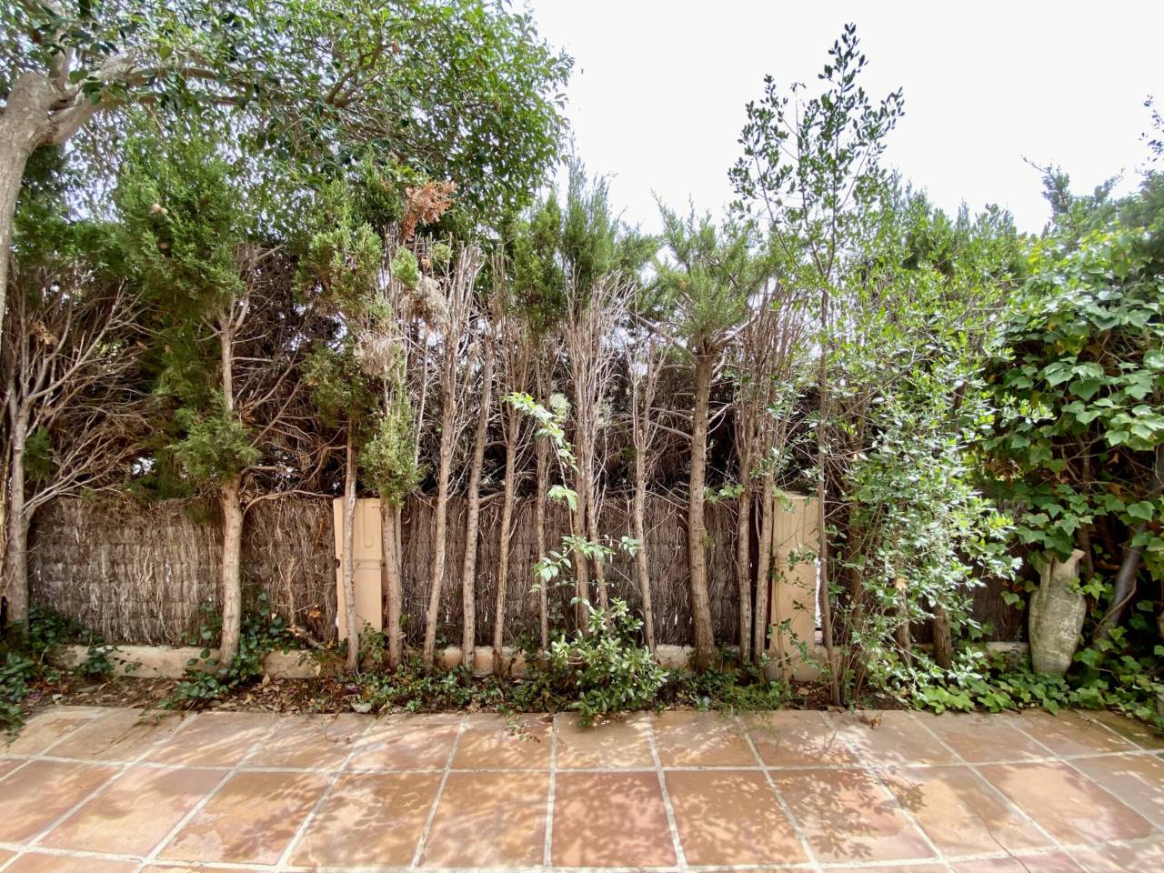 casas-adosadas en calvia · cas-catala-illetes 2950.00€