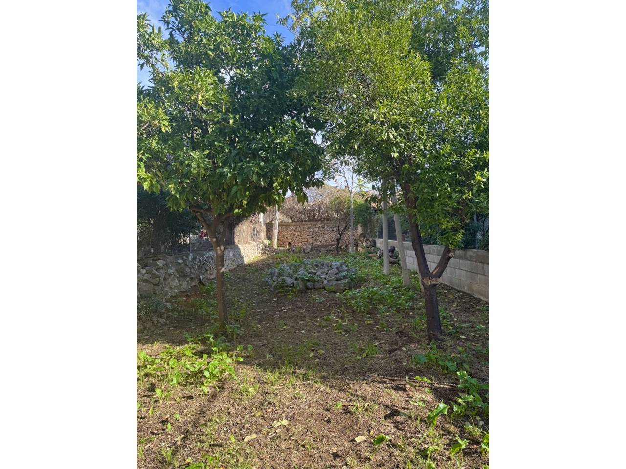 casa en alaro · alaro 2000.00€