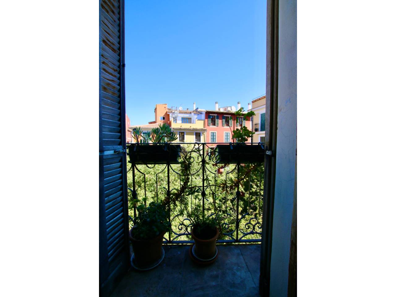 pisos en palma-de-mallorca · cort €