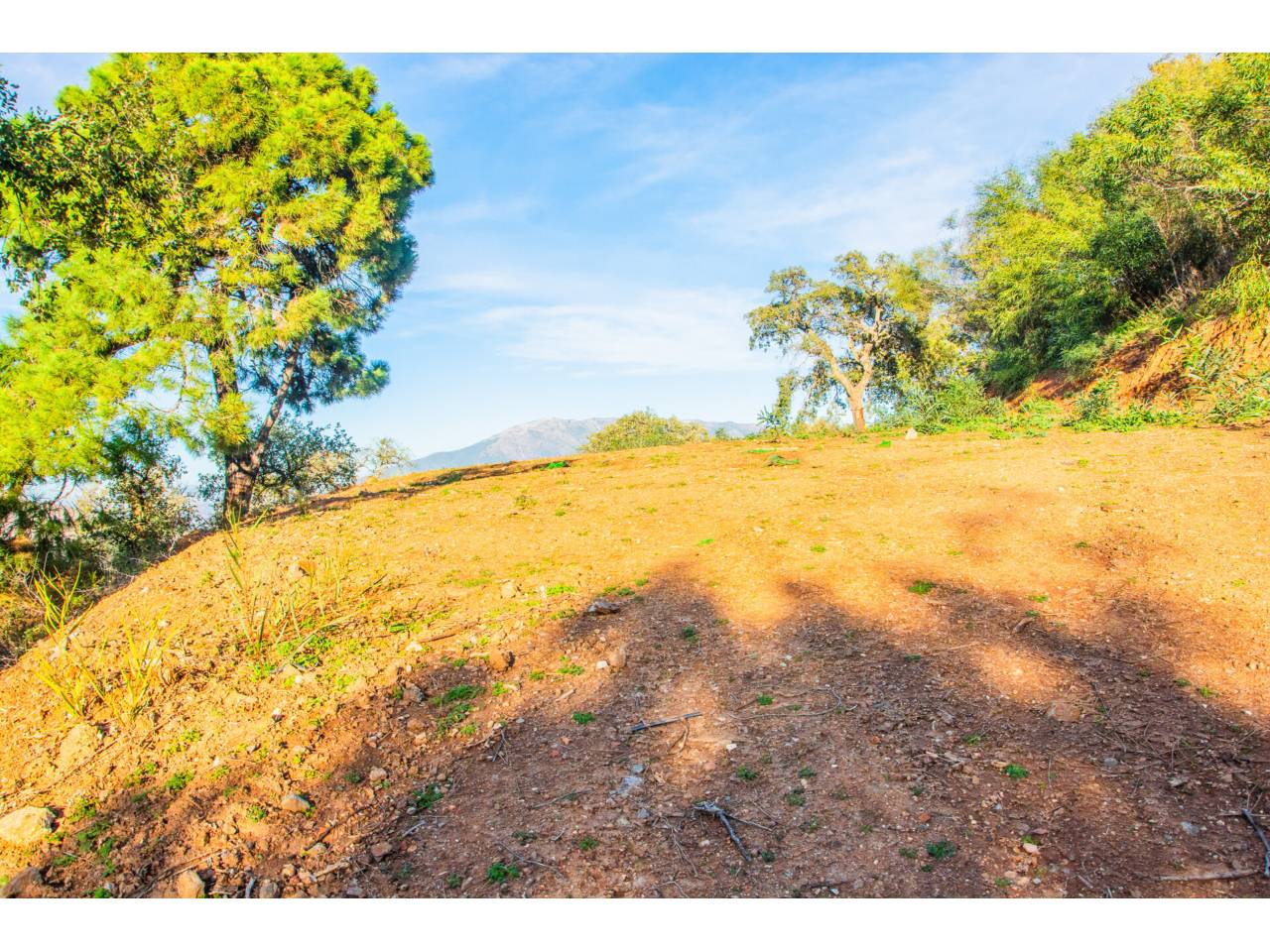 parcelas en ojen · ojen 312600.00€