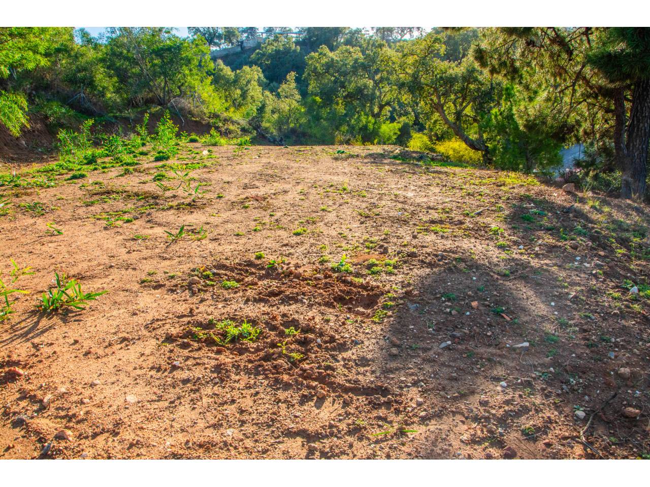 parcelas en ojen · ojen 312600.00€