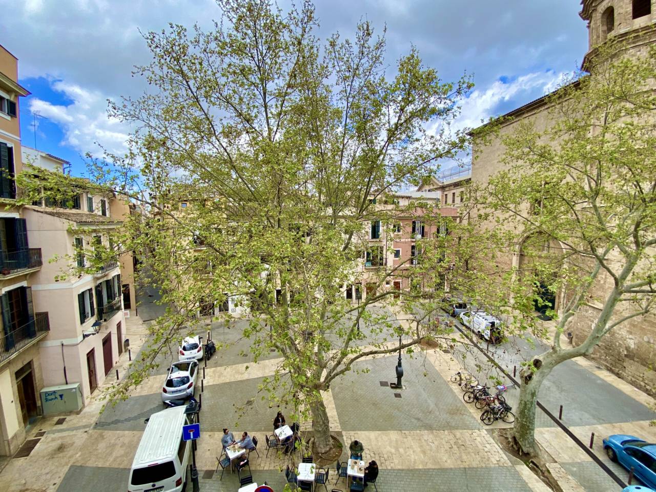 pisos en palma-de-mallorca · el-sindicat 1600.00€