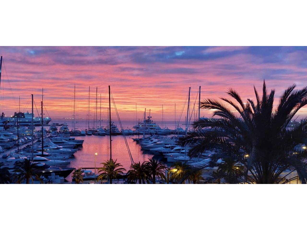 pisos en palma-de-mallorca · la-bonanova-porto-pi 1500000.00€