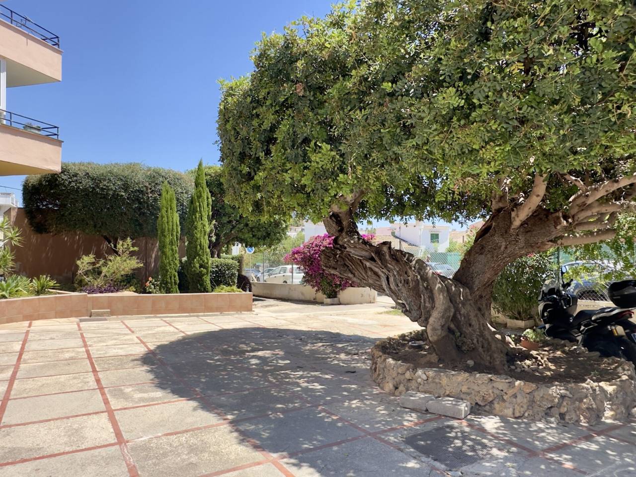 estudio en palma-de-mallorca · cala-major 225000.00€