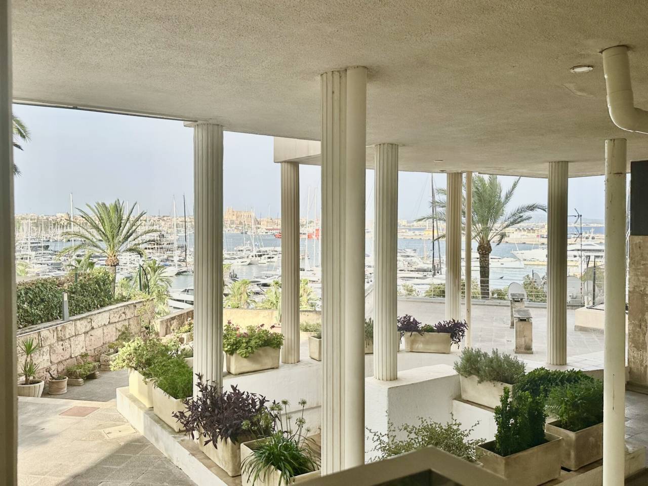 pisos en palma-de-mallorca · el-terreno 350000.00€