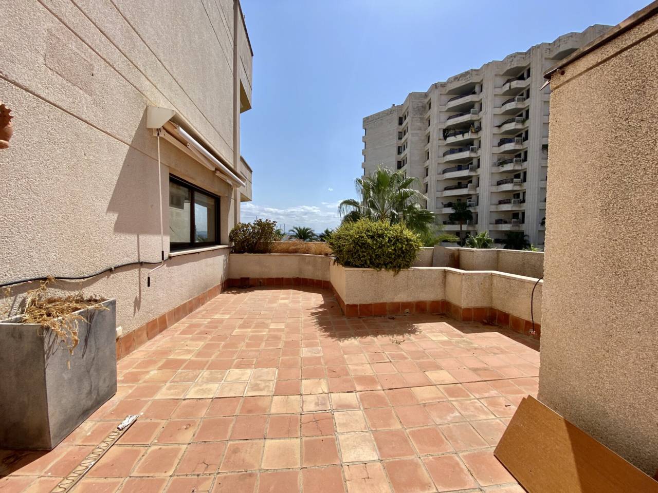 pisos en palma-de-mallorca · el-terreno 3500.00€