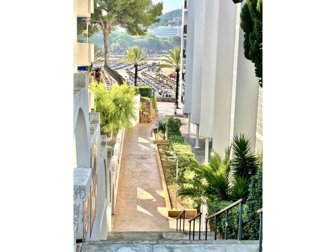 pisos en calvia · costa-de-la-calma 1350.00€
