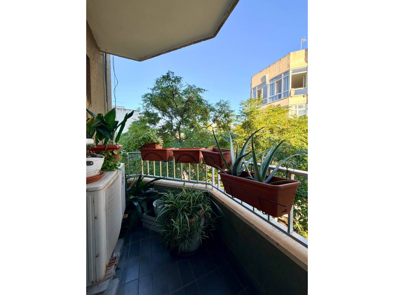 pisos en palma-de-mallorca · santa-catalina 495000.00€