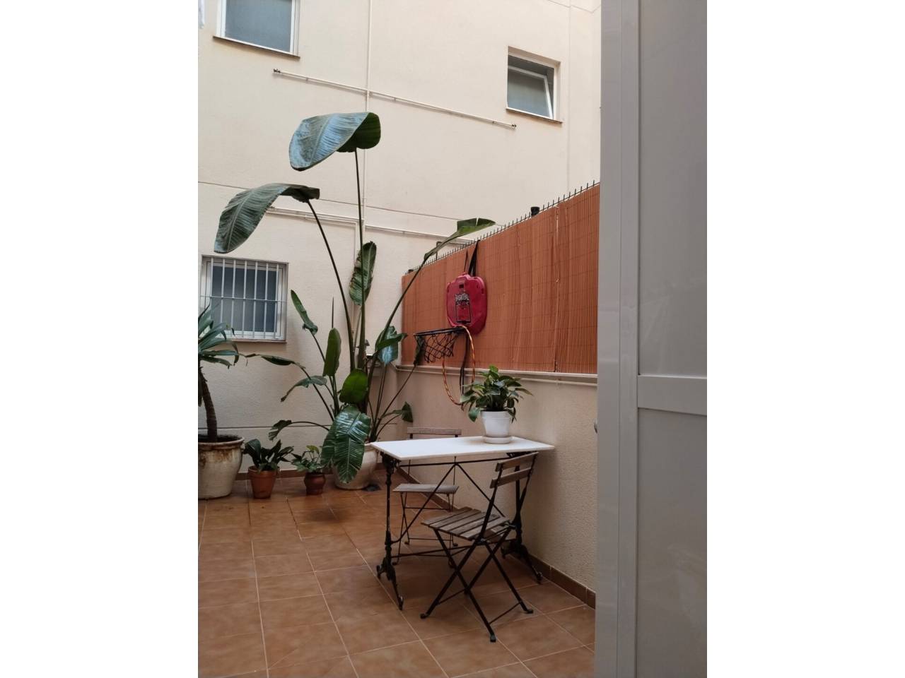 imagen no disponible