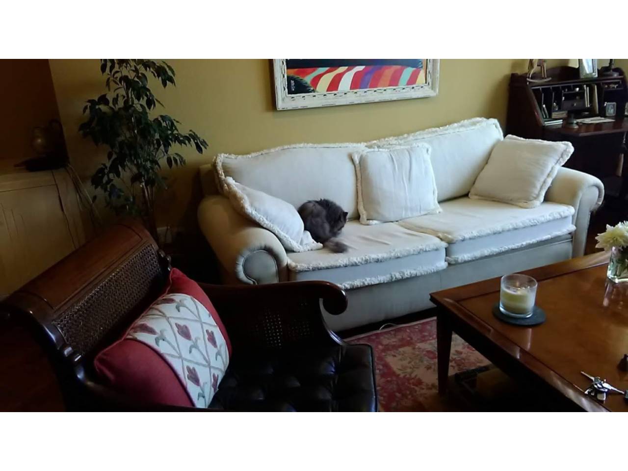 Imagen Vivienda