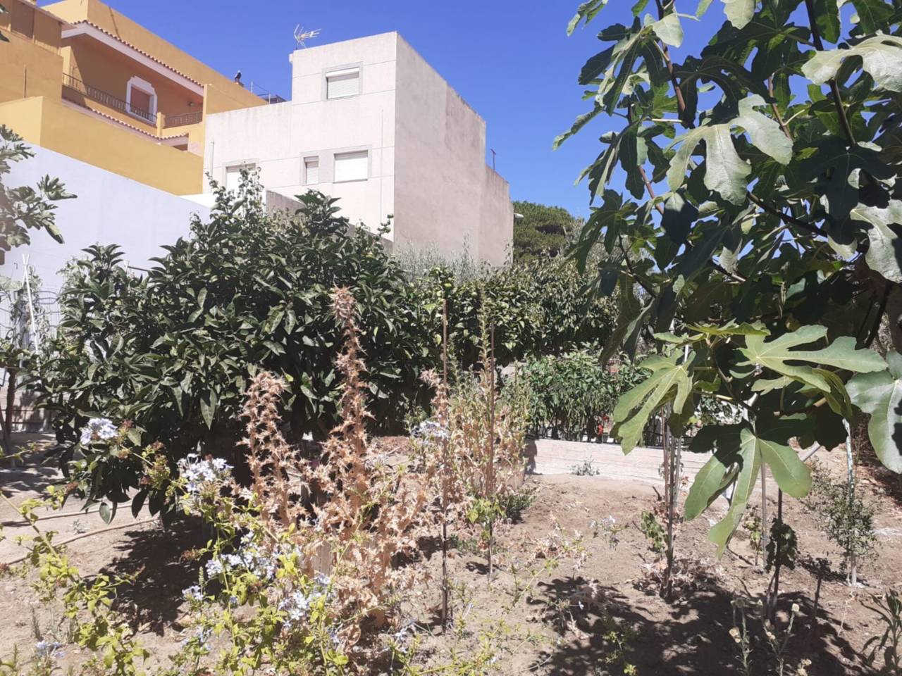 Imagen Vivienda