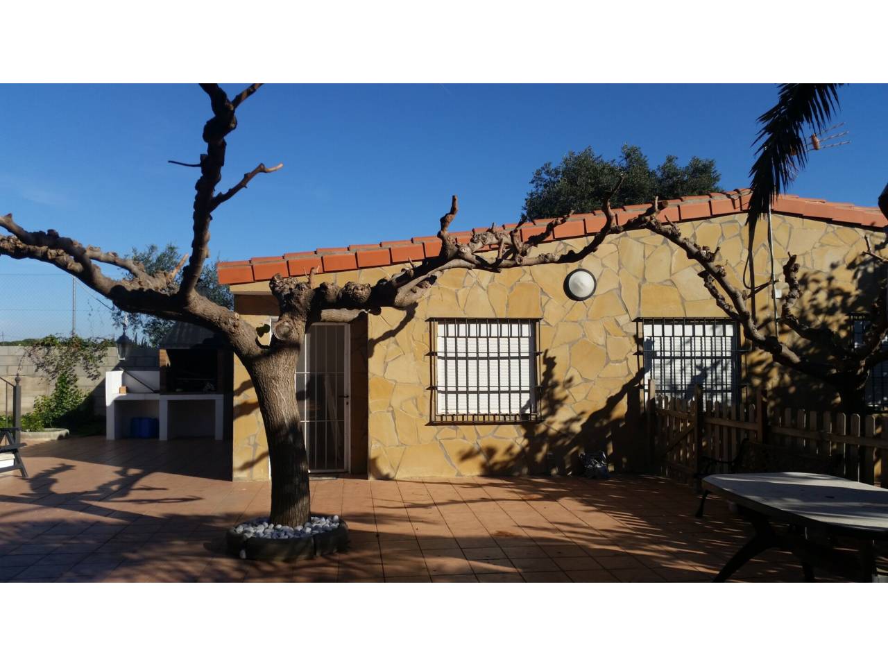 imagen no disponible