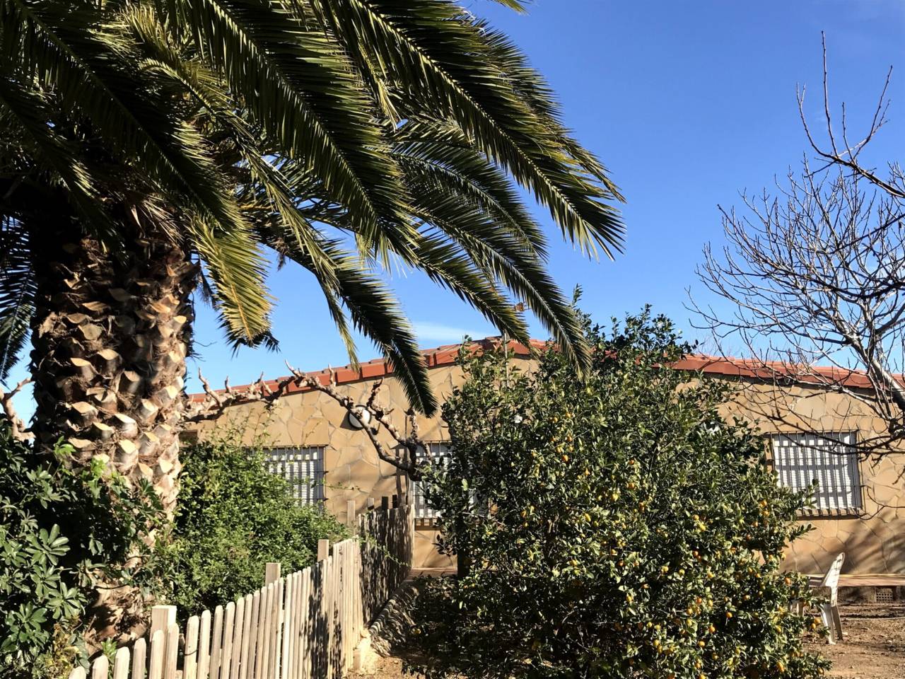 imagen no disponible