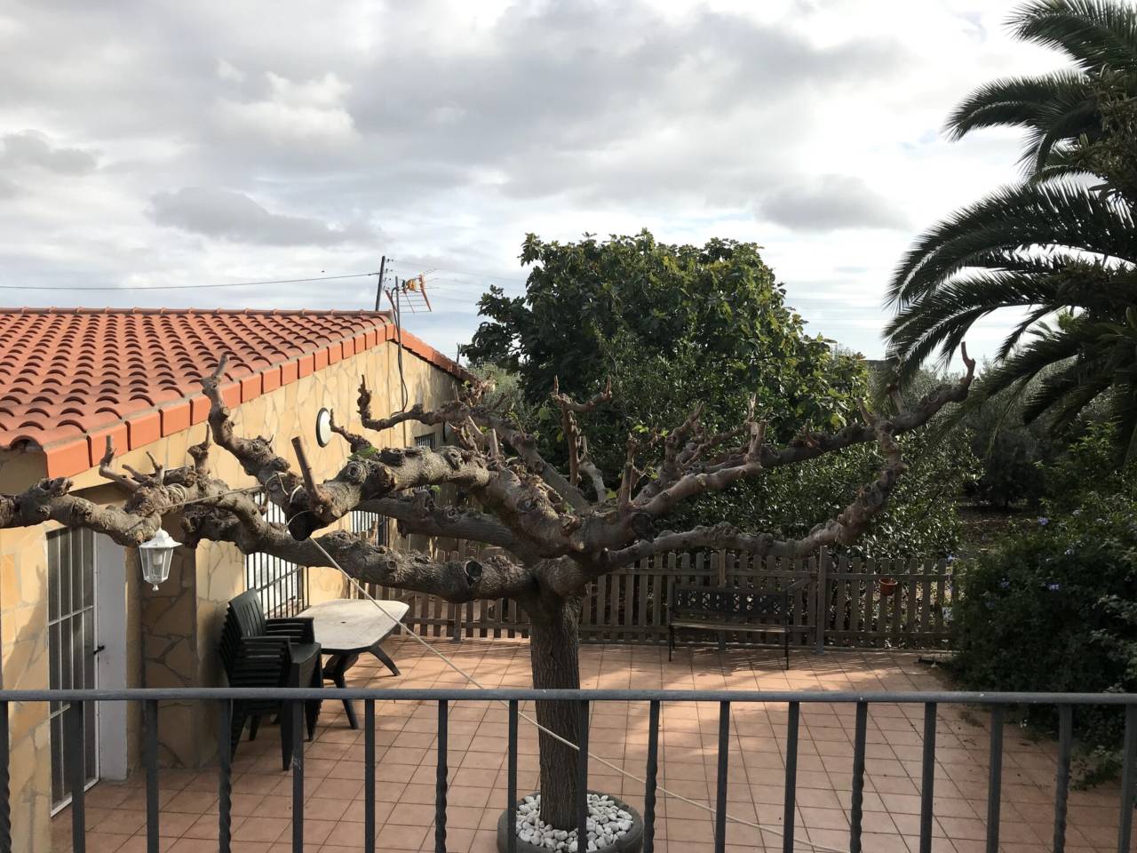 imagen no disponible