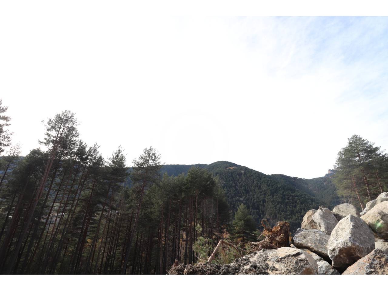 Plot for sale located in La Massana