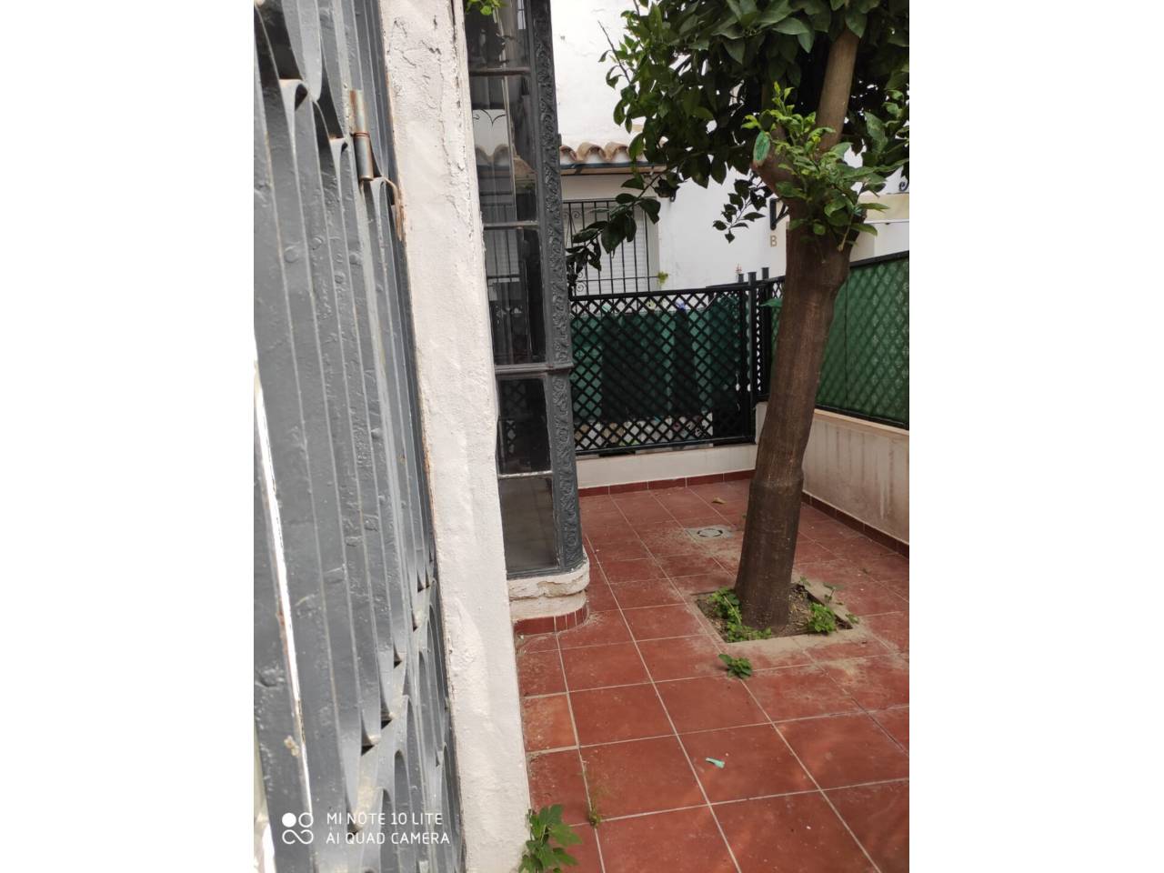 imagen no disponible