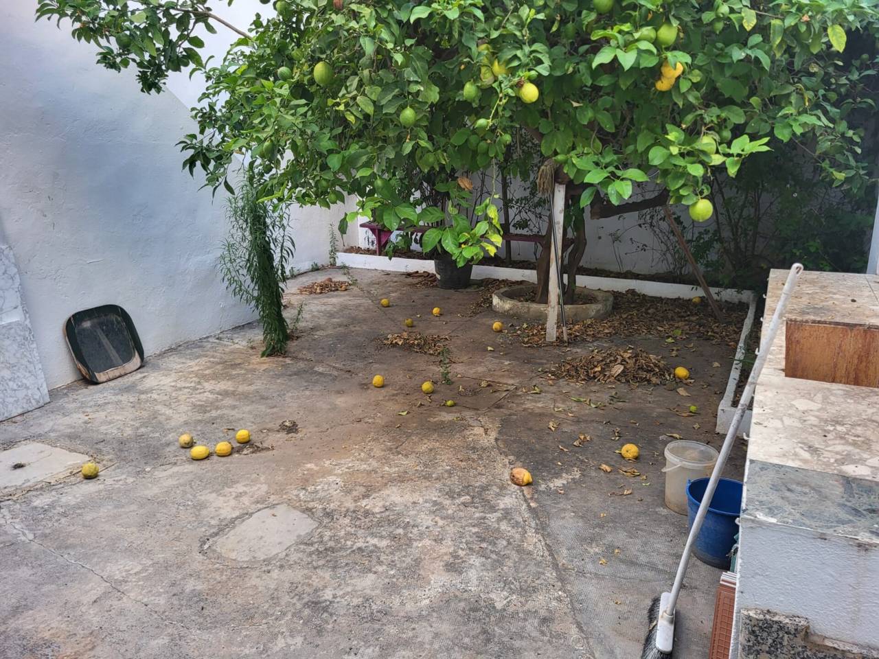 Local en alquiler en Alfafar